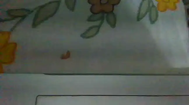 Snapshot of biggest_lund_ chatting on 28, 12, 2024 biggest lund online show from 28, 12, 2024