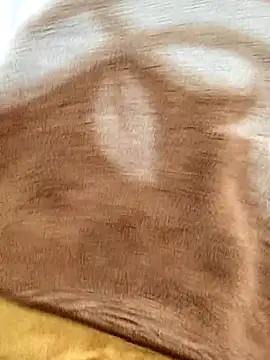 sids0 online show from 14, 1, 2026