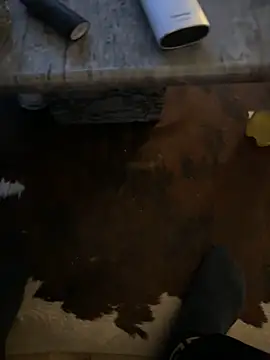 Snapshot of Tyson8897 chatting on 7, 1, 2026 Tyson8897 online show from 7, 1, 2026