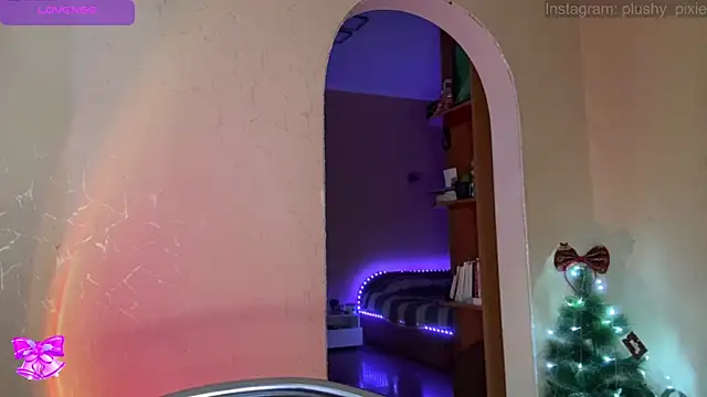 Snapshot of plushy_pixie chatting on 15, 12, 2024 plushy pixie online show from 15, 12, 2024