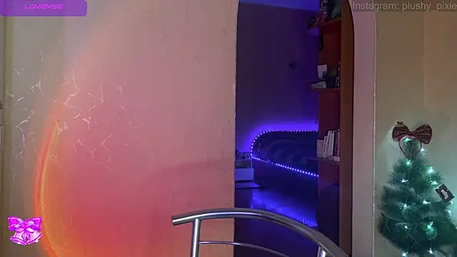 Snapshot of plushy_pixie chatting on 16, 12, 2024 plushy pixie online show from 16, 12, 2024