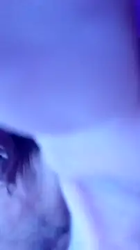 ronny51 online show from 22, 12, 2024