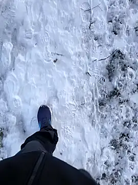 OdinWolf1990 online show from 10, 1, 2026