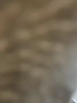 Snapshot of BhadBhad_Kitty chatting on 14, 2, 2025 BhadBhad Kitty online show from 14, 2, 2025