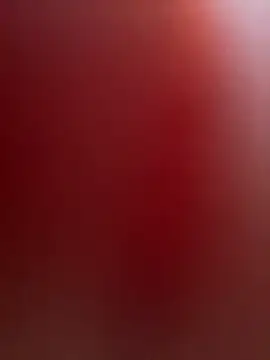 portugadopau online show from 15, 10, 2025