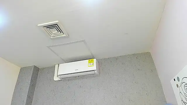 Tiffany mendez online show from 19, 2, 2026