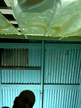 islandvybee55 online show from 12, 1, 2026