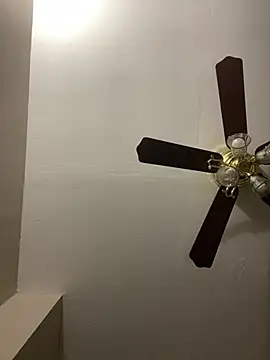 islandvybee55 online show from 17, 3, 2026