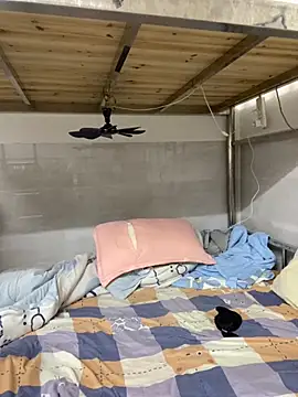 Snapshot of xinan520 chatting on 12, 9, 2025 xinan520 online show from 12, 9, 2025