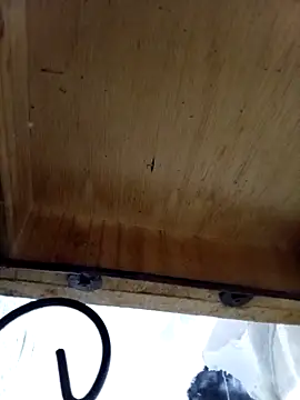 DaniSexFlow online show from 13, 10, 2025