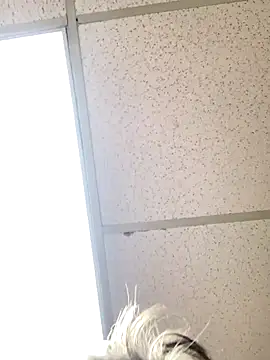 Snapshot of Tonybaloney1972 chatting on 31, 10, 2025 Tonybaloney1972 online show from 31, 10, 2025