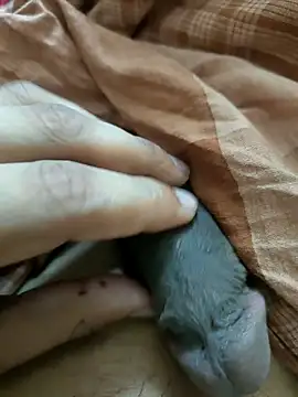 Bengali Boy75 online show from 27, 9, 2025