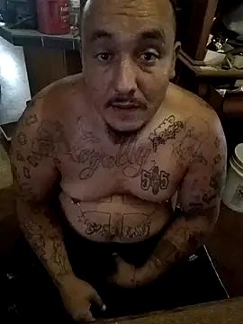 wilsons12 online show from 24, 10, 2025