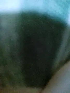 PayalSharmahot143 online show from 2, 10, 2025