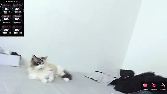 Snapshot of SophieBaker__ chatting on 3, 2, 2026 SophieBaker online show from 3, 2, 2026