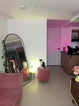 Snapshot of DakotaShelby chatting on 13, 1, 2025 DakotaShelby online show from 13, 1, 2025