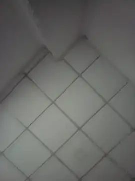 Snapshot of Blue_Zone_Sl chatting on 27, 4, 2026 Blue Zone Sl online show from 27, 4, 2026