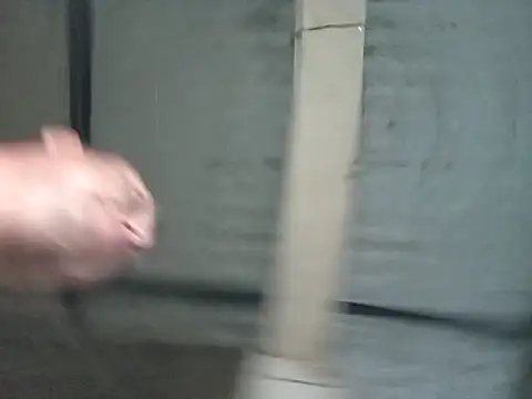 strip 1212 online show from 6, 11, 2025