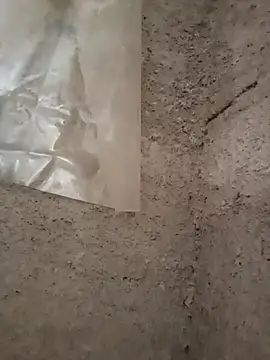 strip 1212 online show from 29, 11, 2025