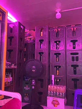 Hot beauty   online show from 27, 3, 2026