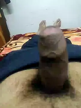 fuckboi2103 online show from 5, 1, 2025