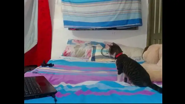 Snapshot of perverted_couple_- chatting on 23, 12, 2024 perverted couple - online show from 23, 12, 2024