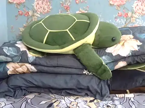 Tiny lusty online show from 11, 3, 2025