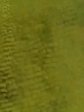 sadunt online show from 17, 12, 2025