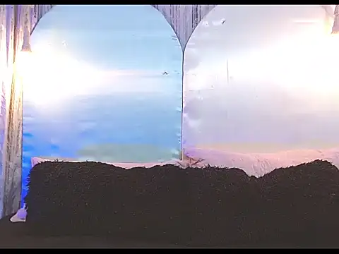 tylor boy online show from 9, 1, 2026