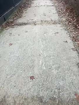 Tomkitomkii online show from 6, 11, 2025