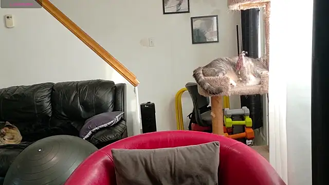 Thekodyy online show from 17, 9, 2025