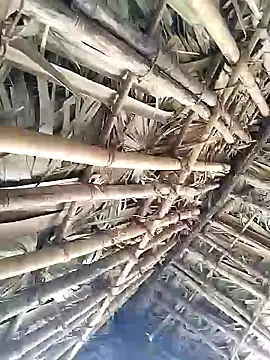 Mrveda66 online show from 9, 2, 2026