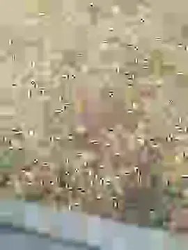 Mrveda66 online show from 10, 2, 2026