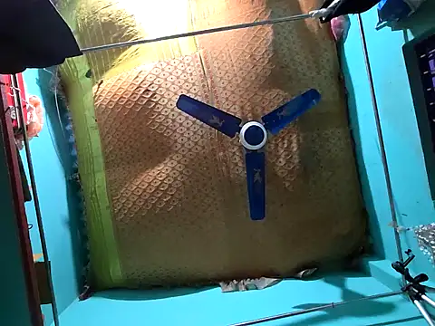 Snapshot of hotbaby_5 chatting on 14, 12, 2024 hotbaby 5 online show from 14, 12, 2024