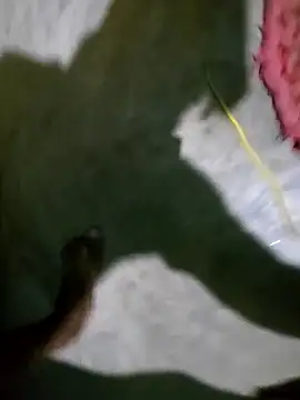 Snapshot of hotbaby_5 chatting on 5, 1, 2025 hotbaby 5 online show from 5, 1, 2025