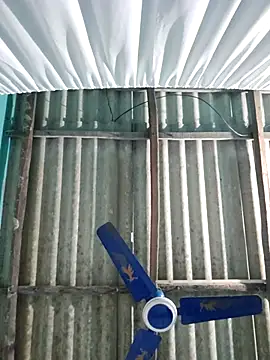 hotbaby 5 online show from 26, 11, 2025