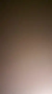 Snapshot of NewKing100 chatting on 2, 12, 2024 NewKing100 online show from 2, 12, 2024