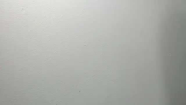 sussy leon online show from 4, 3, 2025