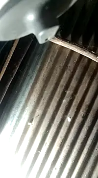 Snapshot of Huebolocko chatting on 4, 12, 2024 Huebolocko online show from 4, 12, 2024