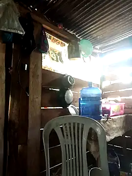 Snapshot of Huebolocko chatting on 1, 1, 2025 Huebolocko online show from 1, 1, 2025