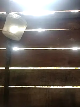 Snapshot of Huebolocko chatting on 6, 1, 2025 Huebolocko online show from 6, 1, 2025