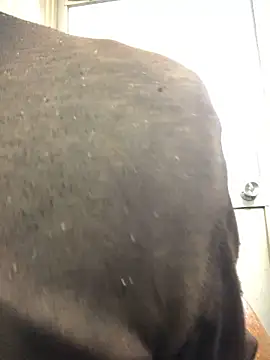 agaupt2 online show from 16, 12, 2025