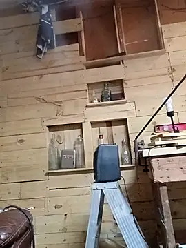 Buffshagswell online show from 21, 11, 2025