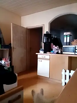 Wishes813 online show from 22, 2, 2026