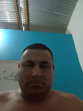 Snapshot of Pipuloc chatting on 11, 6, 2026 Pipuloc online show from 11, 6, 2026
