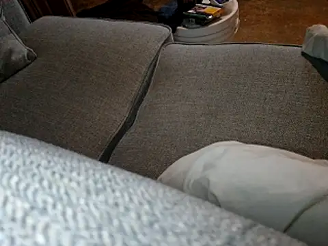 Frankdick01 online show from 7, 5, 2026