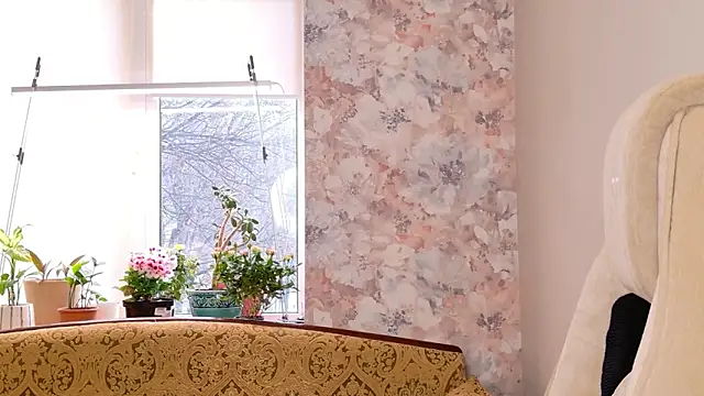 showmeparadise online show from 27, 2, 2026