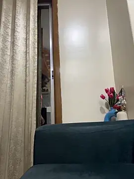 ved240 online show from 12, 4, 2026