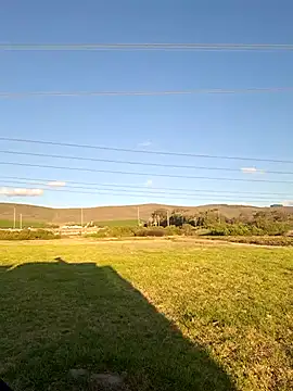 MIGHTY MAGNUM online show from 8, 2, 2025