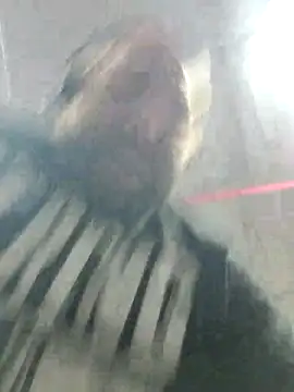 Snapshot of Strong_Bear89 chatting on 2, 12, 2024 Strong Bear89 online show from 2, 12, 2024